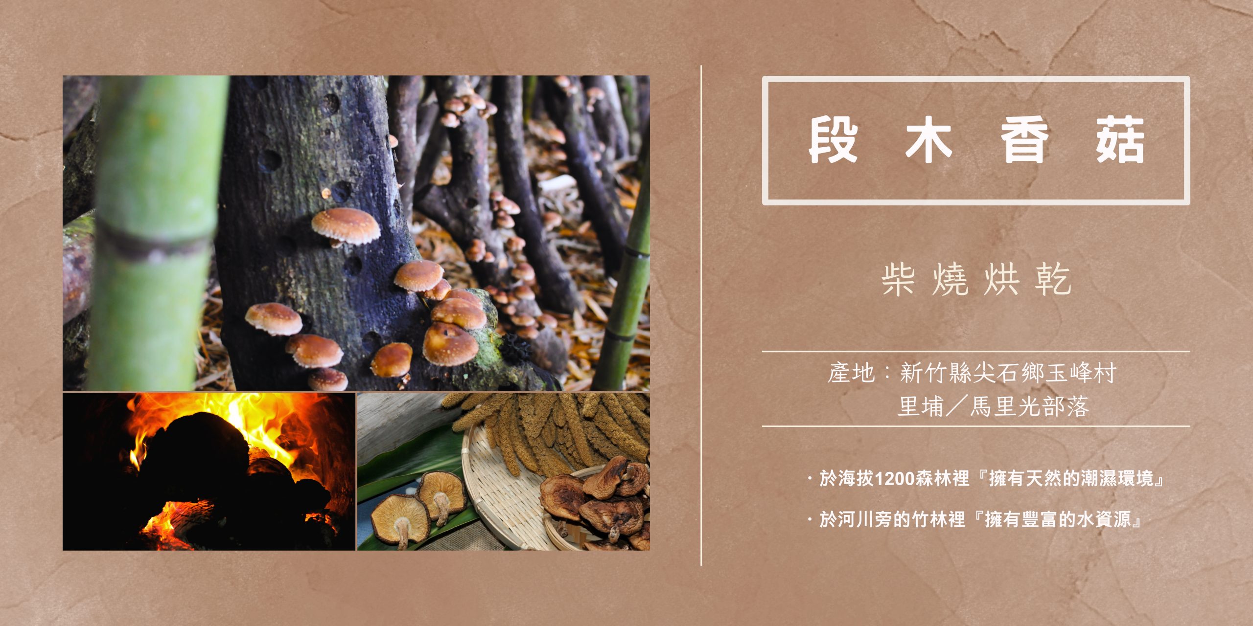 廣告2