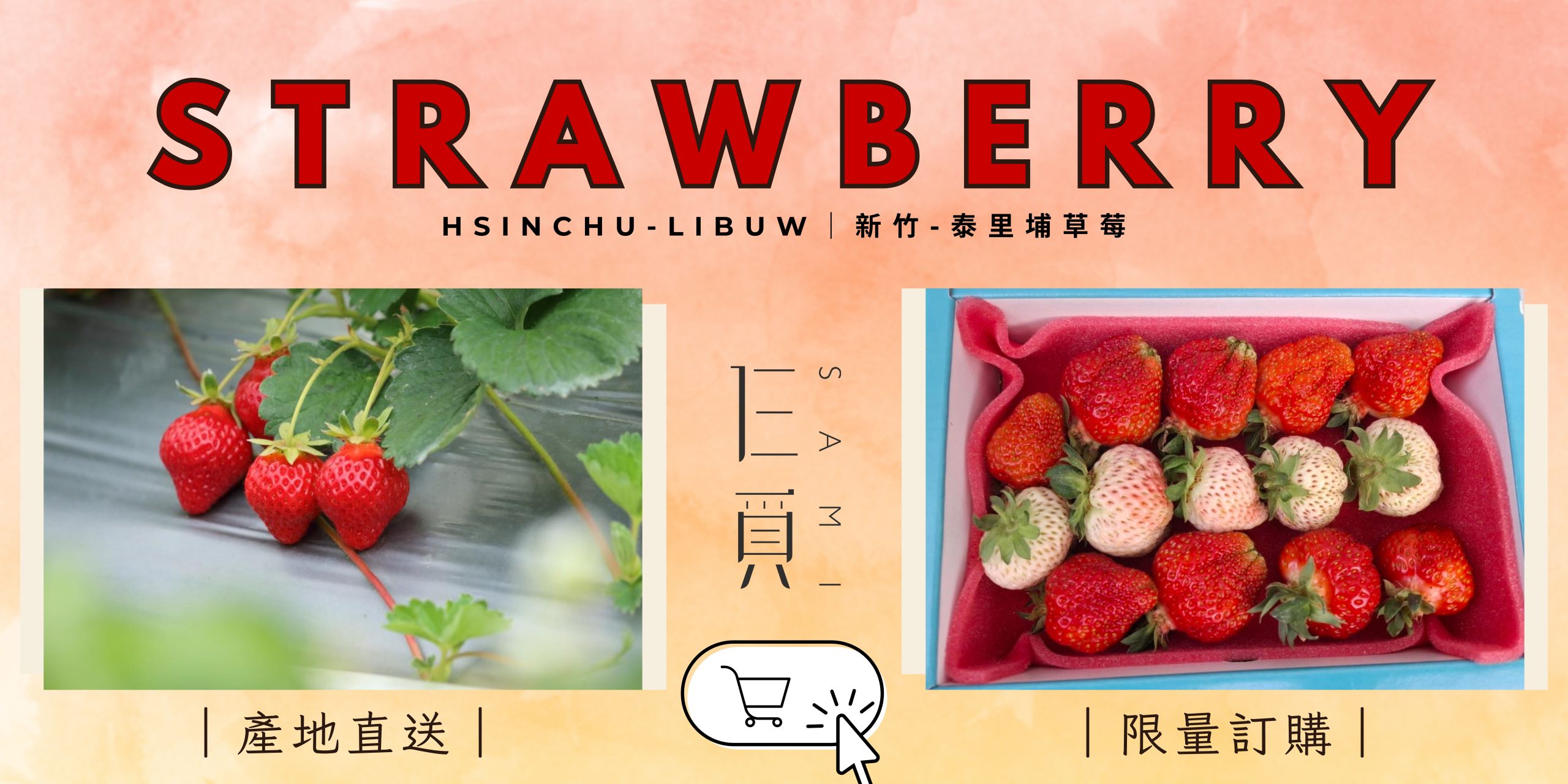 草莓廣告